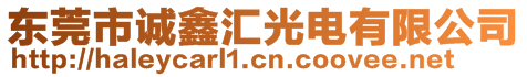 東莞市誠鑫匯光電有限公司