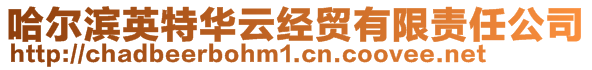 哈爾濱英特華云經(jīng)貿(mào)有限責(zé)任公司