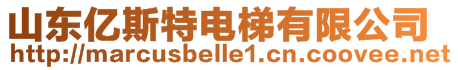 山東億斯特電梯有限公司