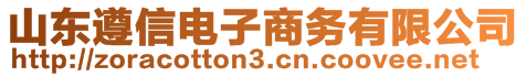 山東遵信電子商務有限公司