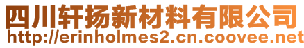 四川轩扬新材料有限公司