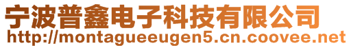 寧波普鑫電子科技有限公司