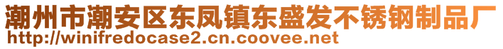 潮州市潮安區(qū)東鳳鎮(zhèn)東盛發(fā)不銹鋼制品廠(chǎng)