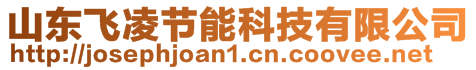 山東飛凌節(jié)能科技有限公司