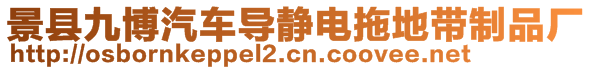 景縣九博汽車導(dǎo)靜電拖地帶制品廠