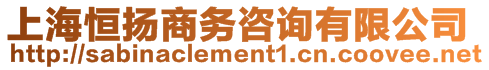 上海恒揚(yáng)商務(wù)咨詢有限公司