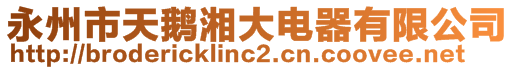 永州市天鵝湘大電器有限公司