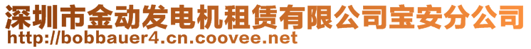 深圳市金動(dòng)發(fā)電機(jī)租賃有限公司寶安分公司