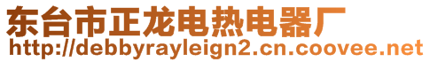 東臺市正龍電熱電器廠