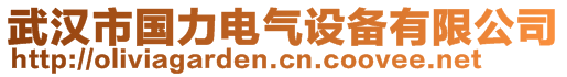 武汉市国力电气设备有限公司