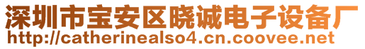 深圳市寶安區(qū)曉誠電子設備廠