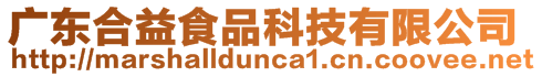 廣東合益食品科技有限公司