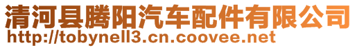 清河縣騰陽汽車配件有限公司