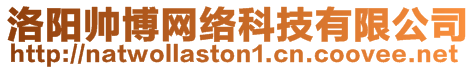 洛陽帥博網(wǎng)絡(luò)科技有限公司