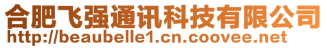 合肥飛強通訊科技有限公司