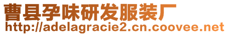 曹縣孕味研發(fā)服裝廠(chǎng)