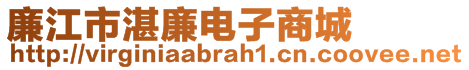 廉江市湛廉電子商城