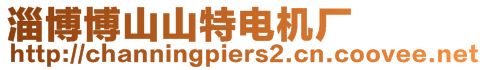 淄博博山山特電機廠