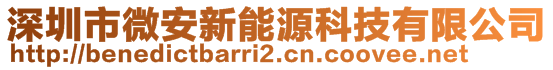 深圳市微安新能源科技有限公司