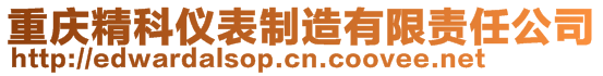 重庆精科仪表制造有限责任公司