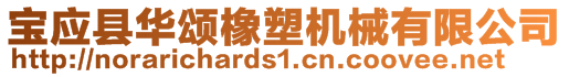 寶應縣華頌橡塑機械有限公司