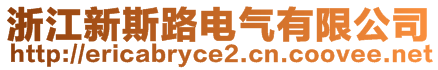 浙江新斯路電氣有限公司