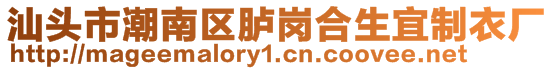 汕頭市潮南區(qū)臚崗合生宜制衣廠
