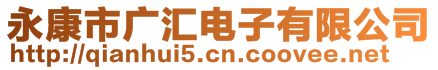 永康市廣匯電子有限公司