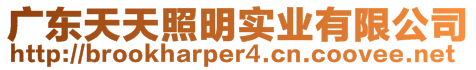 廣東天天照明實業(yè)有限公司