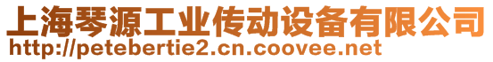 上海琴源工業(yè)傳動(dòng)設(shè)備有限公司