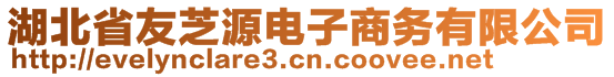 湖北省友芝源電子商務(wù)有限公司