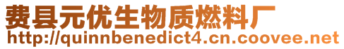 費(fèi)縣元優(yōu)生物質(zhì)燃料廠(chǎng)