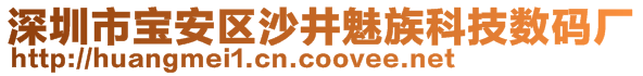 深圳市寶安區(qū)沙井魅族科技數(shù)碼廠