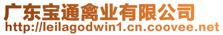 廣東寶通禽業(yè)有限公司