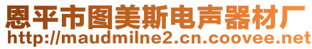 恩平市圖美斯電聲器材廠