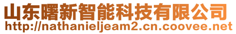 山東曙新智能科技有限公司