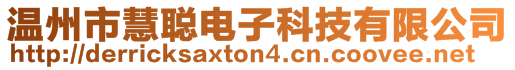 溫州市慧聰電子科技有限公司