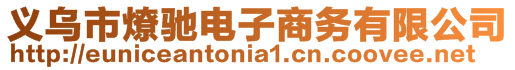 義烏市燎馳電子商務(wù)有限公司