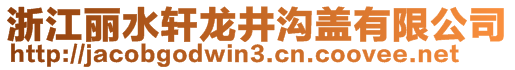 浙江麗水軒龍井溝蓋有限公司