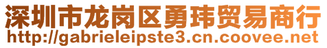 深圳市龍崗區勇瑋貿易商行