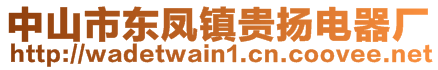 中山市东凤镇贵扬电器厂