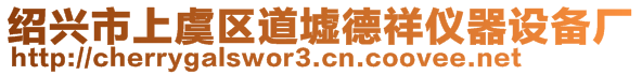 紹興市上虞區(qū)道墟德祥儀器設(shè)備廠