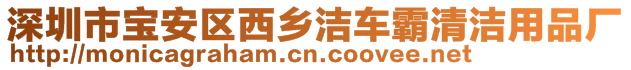 深圳市寶安區(qū)西鄉(xiāng)潔車霸清潔用品廠