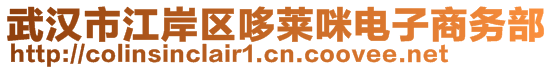 武汉市江岸区哆莱咪电子商务部