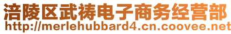 涪陵區(qū)武禱電子商務(wù)經(jīng)營(yíng)部