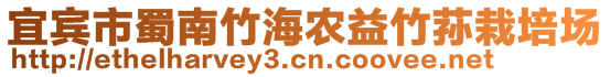 宜賓市蜀南竹海農(nóng)益竹蓀栽培場