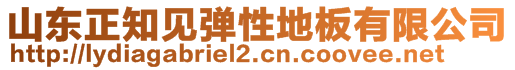 山东正知见弹性地板有限公司