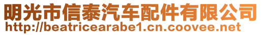 明光市信泰汽車配件有限公司