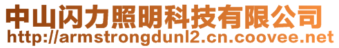 中山閃力照明科技有限公司