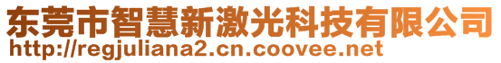 東莞市智慧新激光科技有限公司